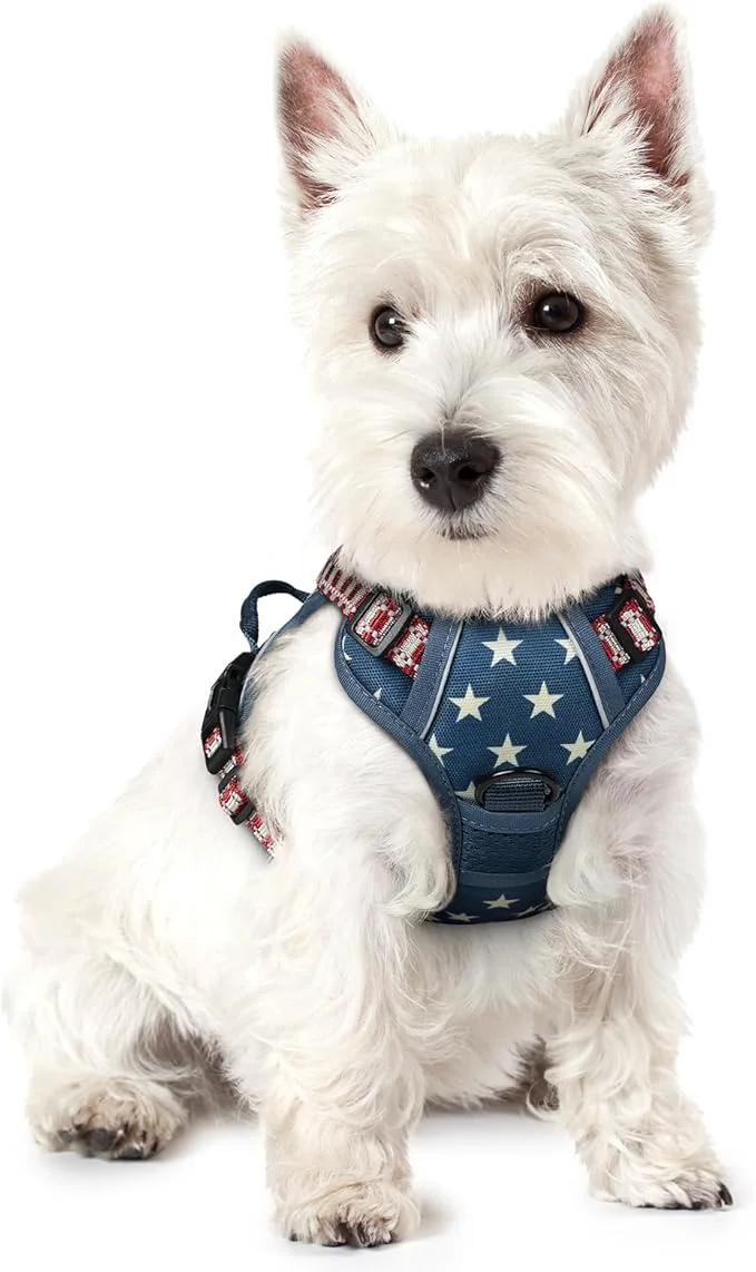 Relaxed rabbitgoo Dog Harness No Pull with 2 Leash Clips Adjustable Soft Padd Dependable