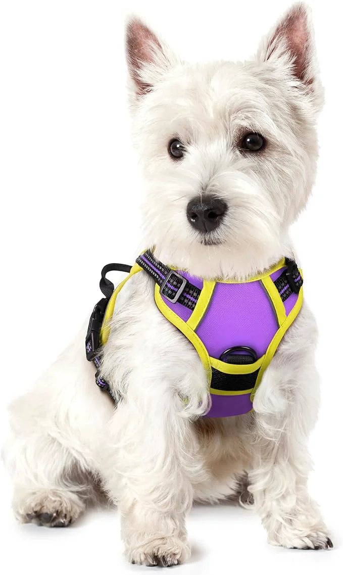 Authentic rabbitgoo Dog Harness No Pull with 2 Leash Clips Adjustable Soft Padded Reflective Oxford No Choke Pet Vest with Easy Control Handle for Puppy Purple Yellow XSAbout ThisOverview Sustainable