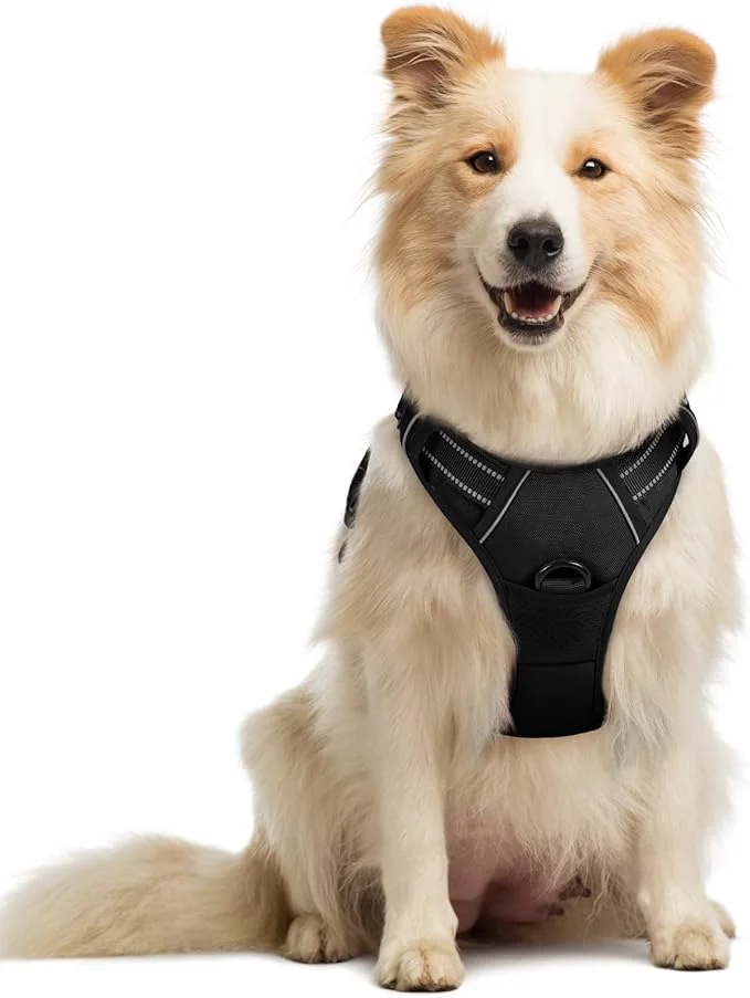 High-Performance rabbitgoo Dog Harness No Pull with 2 Leash Clips Adjustable Soft Padded Reflective Oxford No Choke Pet Vest with Easy Control Handle for Medium Sized Dogs Black MAbout ThisOverview Natural