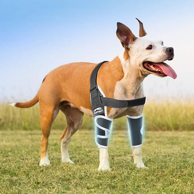 Dependable Dog Elbow Protector for Pets Elbow Dysplasia Shoulder Dislocation – Elbow Support Helps Wound Healing Reflective Pet Recovery Suit Prevents Licking and Biting SAbout This Advanced