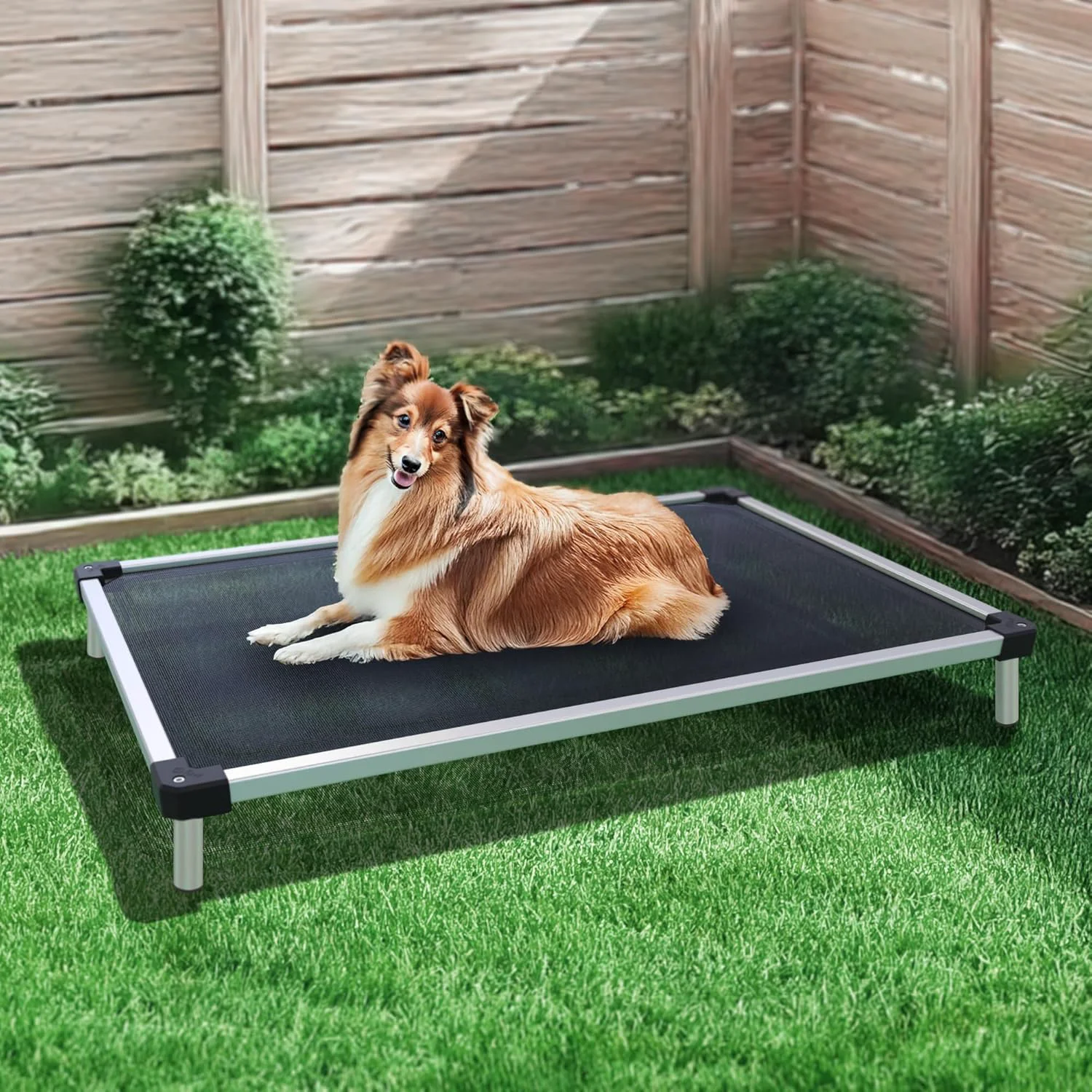 Soft FXW TitanNest Chew-Proof d Dog Bed Raised Cot for Indoor Outdoor Camping Use Durable Waterproof Cooling Pet Bed for Medium Dogs 41.0 L x 27.0 W x 5.0 H Black Convenient