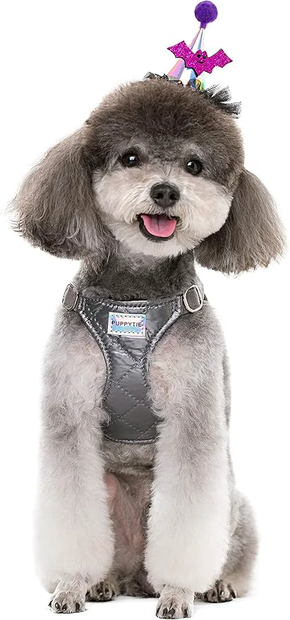 Dependable Puppytie No Pull Small Dog Harness with Multifunction Dog Leash Lightweight Soft Adjustable No Choke Escape Proof Pet Harness Vest Pet Harness Vest Glossy Grey SAbout ThisOverview Minimalist