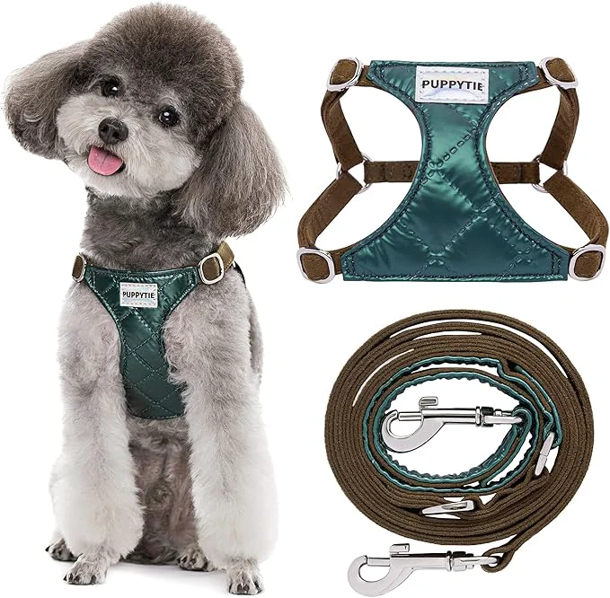 Prestigious Puppytie No Pull Small Dog Harness with Multifunction Dog Leash Lightweight Soft Adjustable No Choke Escape Proof Pet Harness Vest Pet Harness Vest Glossy Dark Green SAbout ThisOverview Long-Lasting