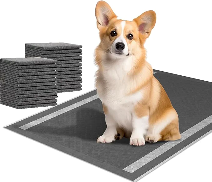 Contemporary Dog and Puppy Pee Pads 100 Count 23” x 30” Charcoal Odor-Control Puppy Pads with Leak-Proof Quick-Dry Design Pet Training Pads for Potty Training Strong AbsorbencyAbout ThisOverview Luxury