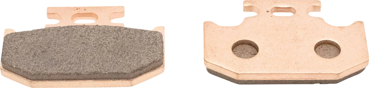Fast ALL BALLS Sintered Brake Pads 18-8055 Next-Generation
