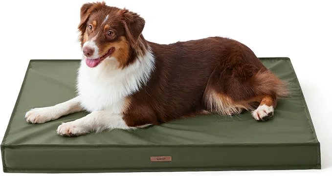 Practical LE SURE Outdoor Waterproof Dog Bed Medium Size Dogs Orthopedic Egg Crate Foam Top-Quality