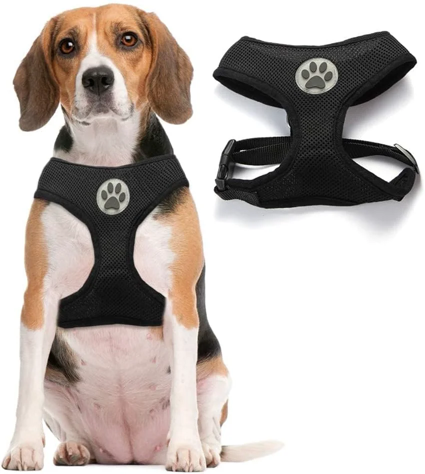 Relaxed BINGPET Dog Vest Harness -Light Weight Breathable Sports Mesh – Pet Adjustable Harness Puppy Padded Harnesses Dog Vest Harness for Small Dogs Clean