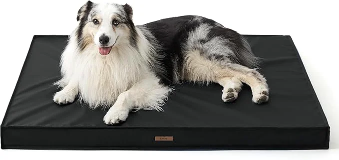 Solid LE SURE Outdoor Waterproof Dog Bed Organic