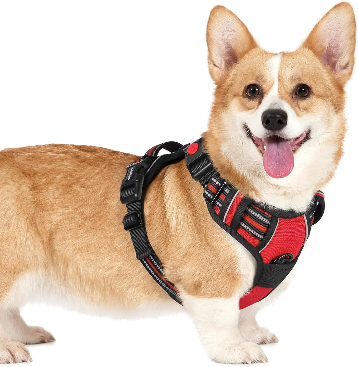 Smooth rabbitgoo Dog Harness Small Sized No Pull Pet Harness with 3 Buckles Adjustable Soft Padded Vest with Control Handle Walking Reflective Pet Vest for Small Dogs Red S Reliable
