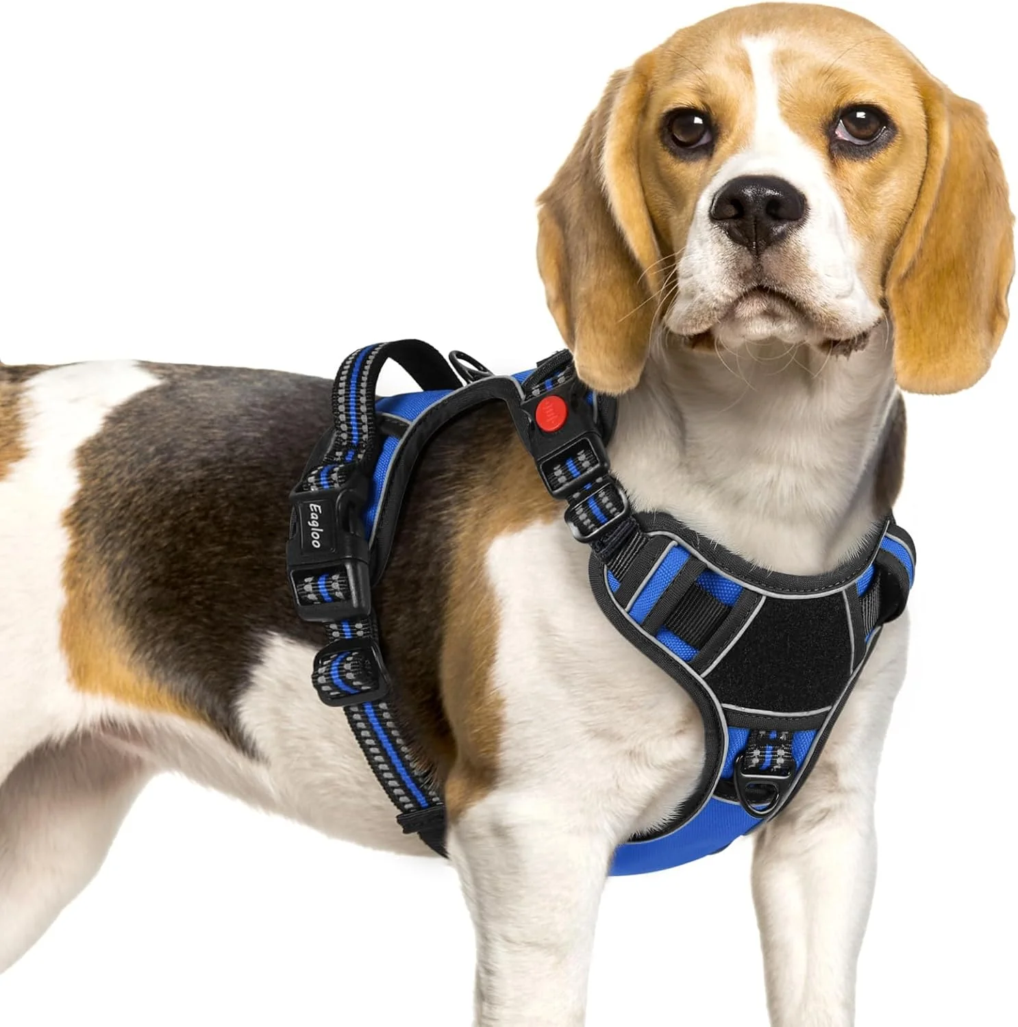 Elegant Eagloo Dog Harness Small Sized Easy Wearing with 3 Buckles Adjustable No Pull Pet Harness with 2 Rings for Walking No Chock Reflective Soft Padded Vest with Control Handle Blue Black S Relaxed