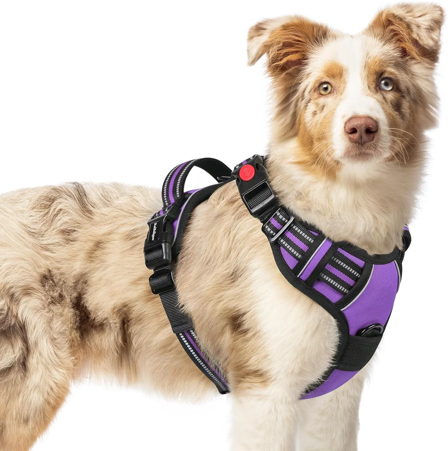Exceptional rabbitgoo Dog Harness Medium Sized No Pull Pet Harness with 3 Buckles Adjustable Soft Padded Vest with Control Handle Walking Reflective Pet Vest for Medium Dogs Purple M Verified