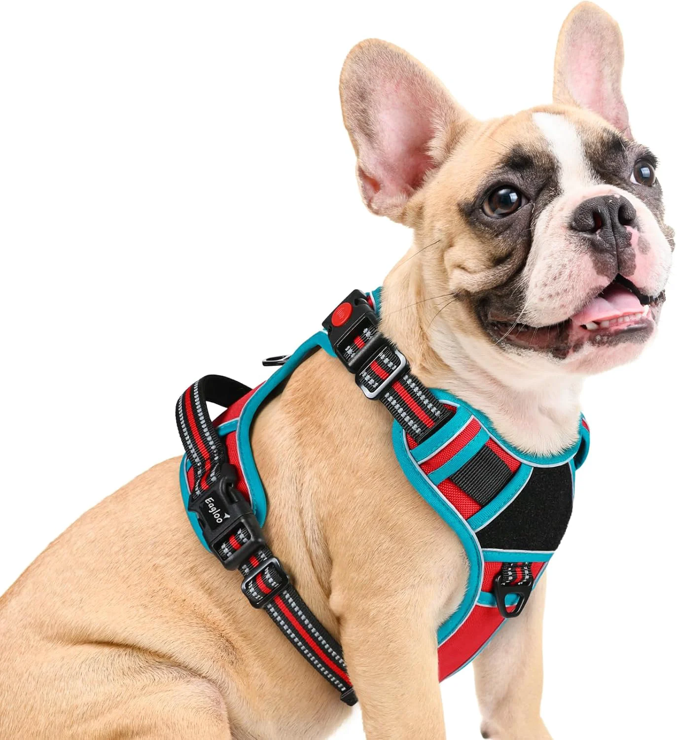 Fine Crafted Eagloo Dog Harness Medium Sized Easy Wearing with 3 Buckles Adjustable No Pull Pet Harness with 2 Rings for Walking No Chock Reflective Soft Padded Vest with Control Handle Red Teal M Enhanced