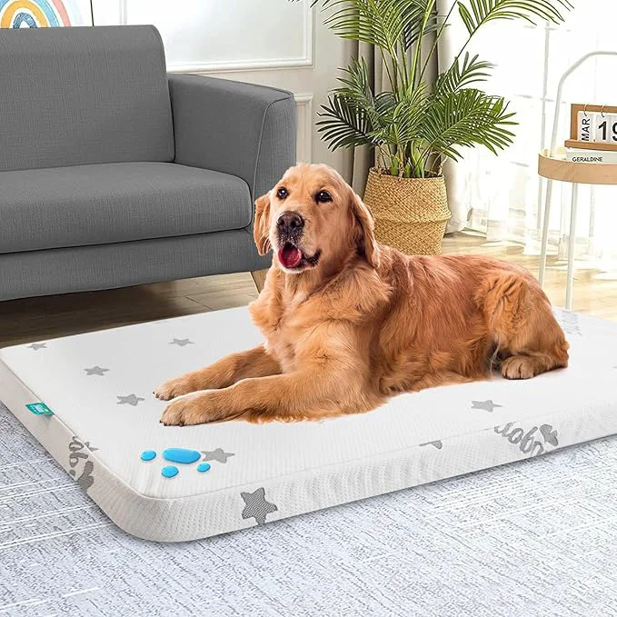 Safe Biloban Waterproof Dog Beds for Dogs Washable Mat Pad Memory Foam Dog Beds Fine