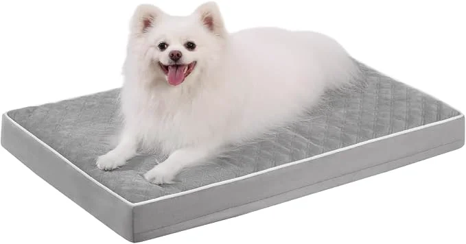 Solid KSIIA Orthopedic Dog Bed Medium Size Dog Natural