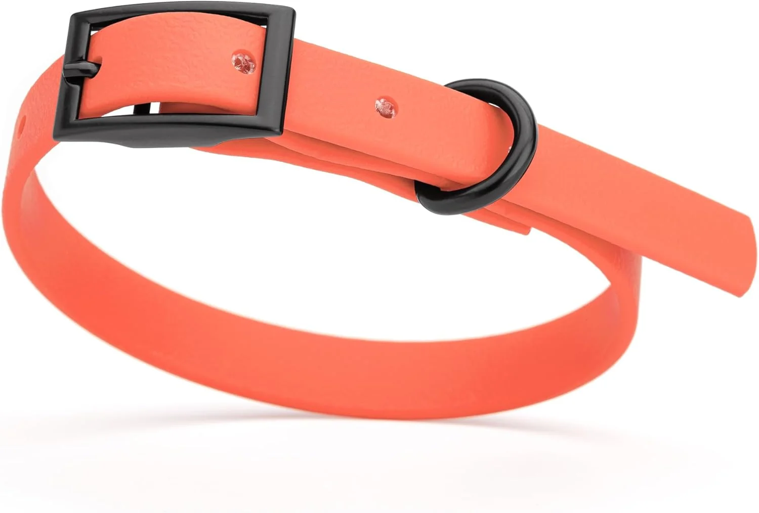 Dogline Biothane Waterproof Dog Collar Strong Coated Nylon Webbing with Black Hardware Odor- Proof for Easy Care Easy to Clean High Performance Fits Small Medium or Large Dogs Coral Green