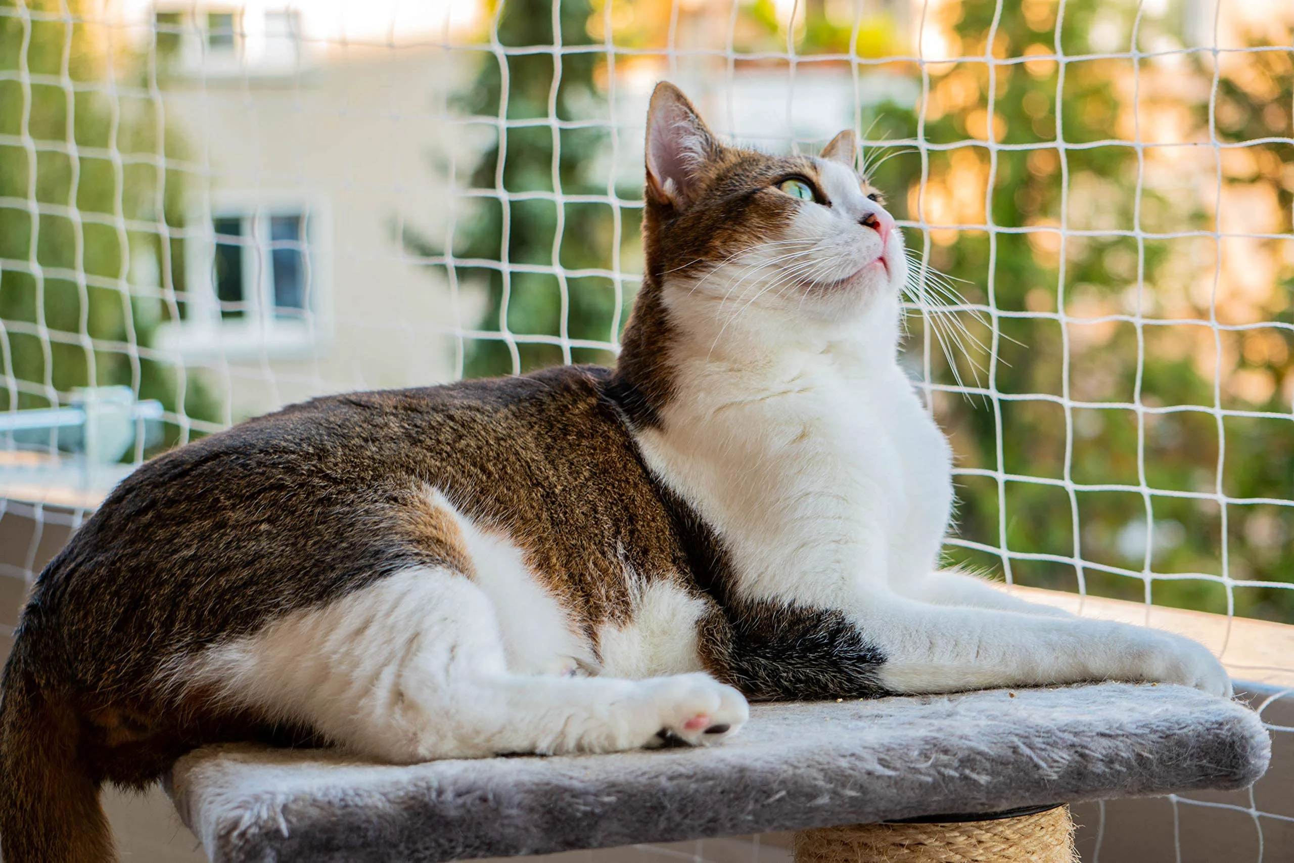 AIYGO Cat Balcony Netting 10x20ft – Durable Nylon Pet Safety Netting for Balcony Window Patio Genuine