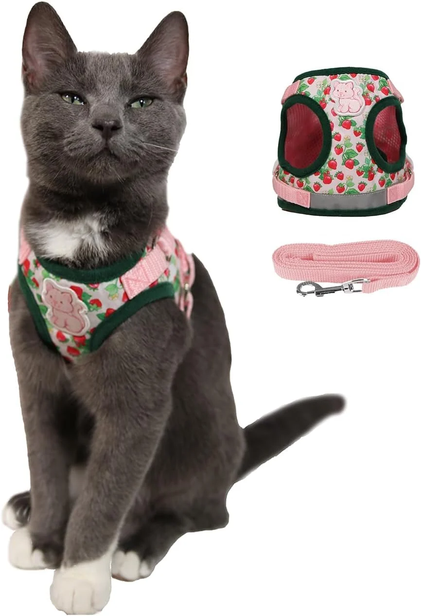 Crafted Your Cat Backpack Strawberry Shortcake Harness Leash Set for Outdoor Cats — Adjustable Mesh Reflective Strap Enhanced
