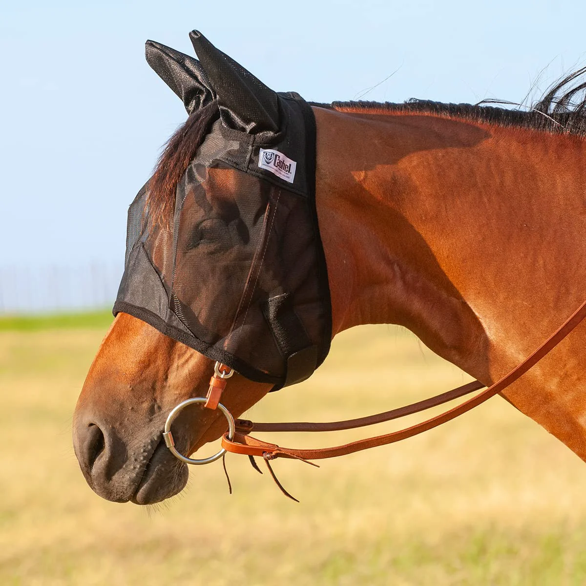 Smart Cashel Quiet Ride Fly Mask with Ears QRYSE – Large Pony Yearling Black Fashionable
