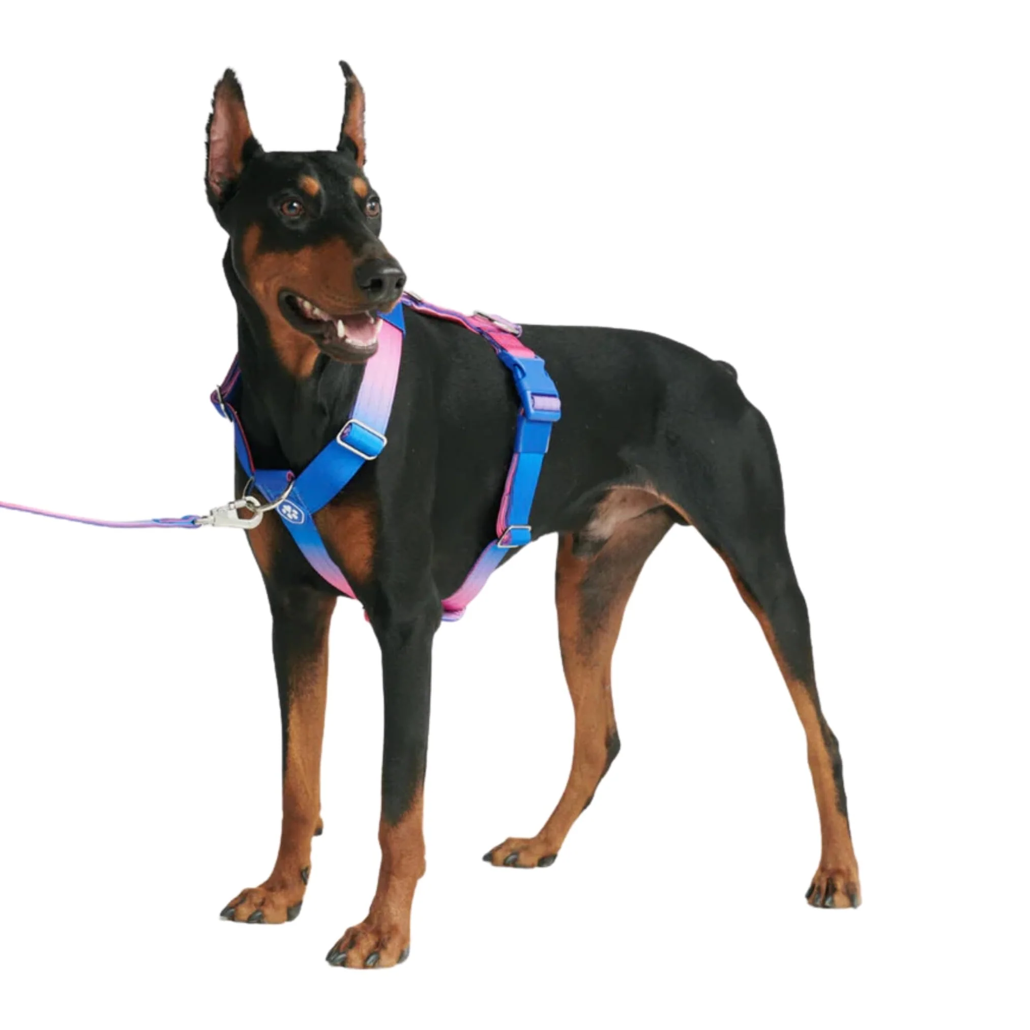 Versatile Spark Paws No Pull Dog Harness for Large Dogs – Heavy-Duty Adjustable Front Clip Snow Cone S Fast