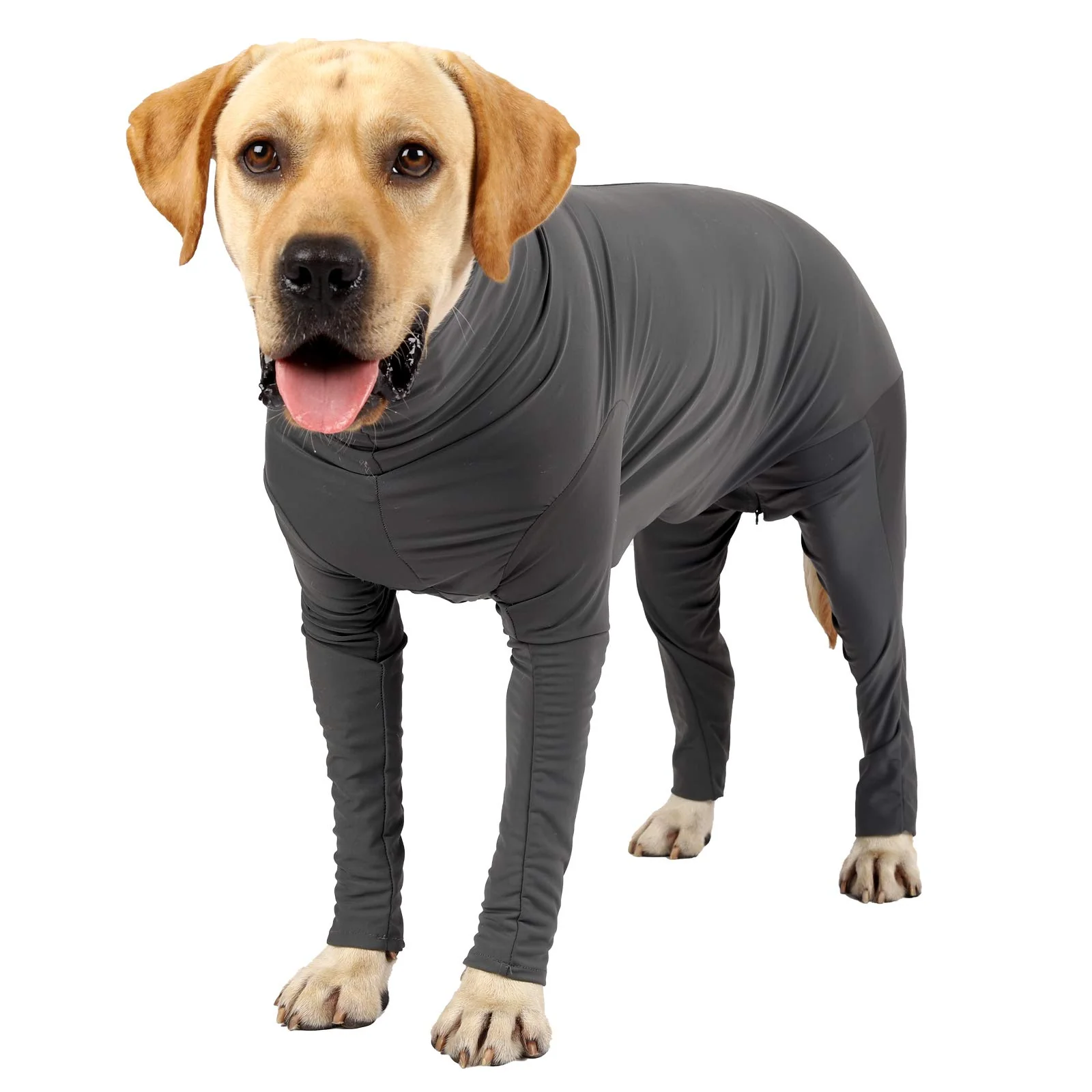 Easy-to-Use Etdane Recovery Suit for Dogs – Post-Surgery Onesie Anti-Lick Shedding Grey XX-Large Professional