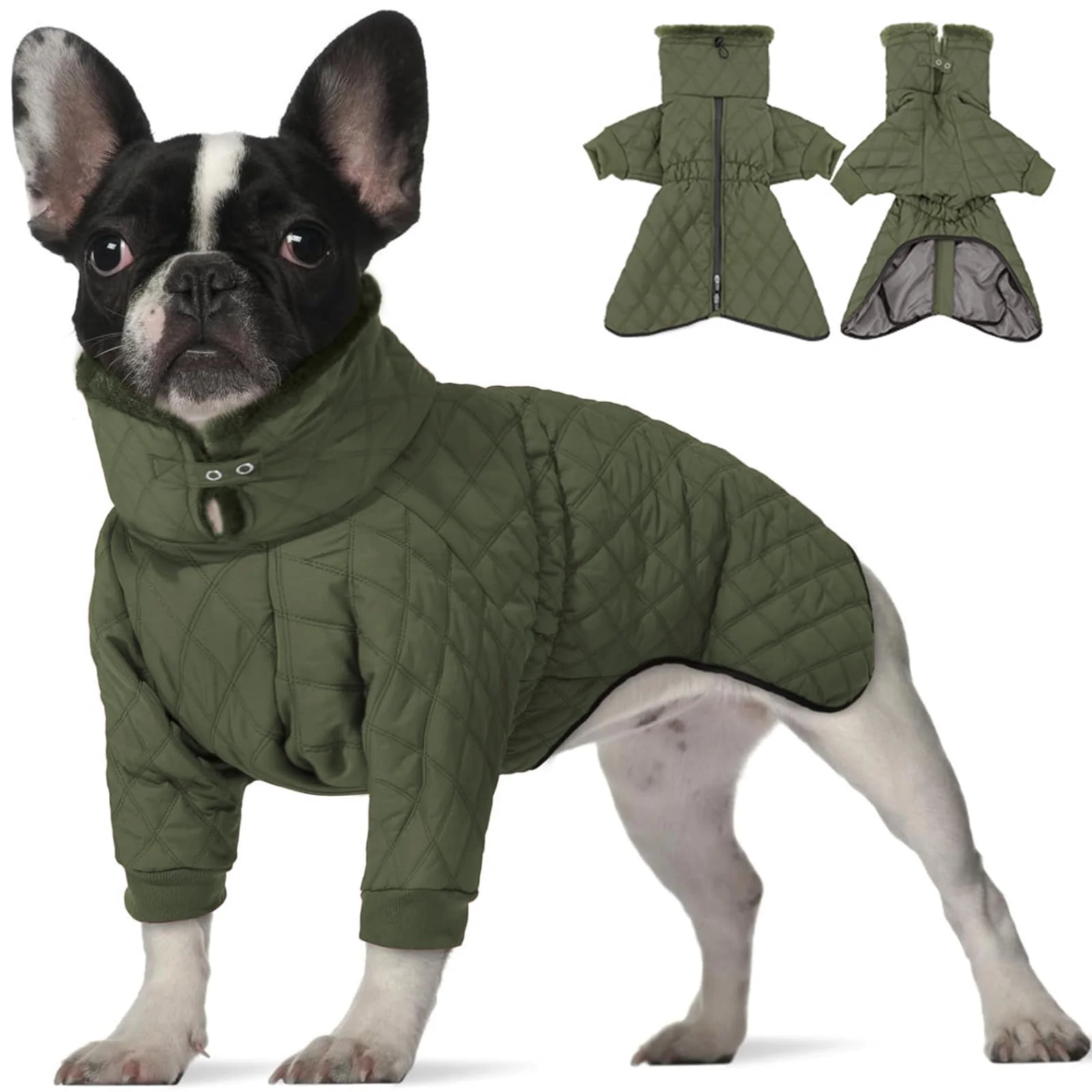Easy-to-Use IDOMIK Small Dog Winter Coat – Warm Waterproof Jacket Green S Quality