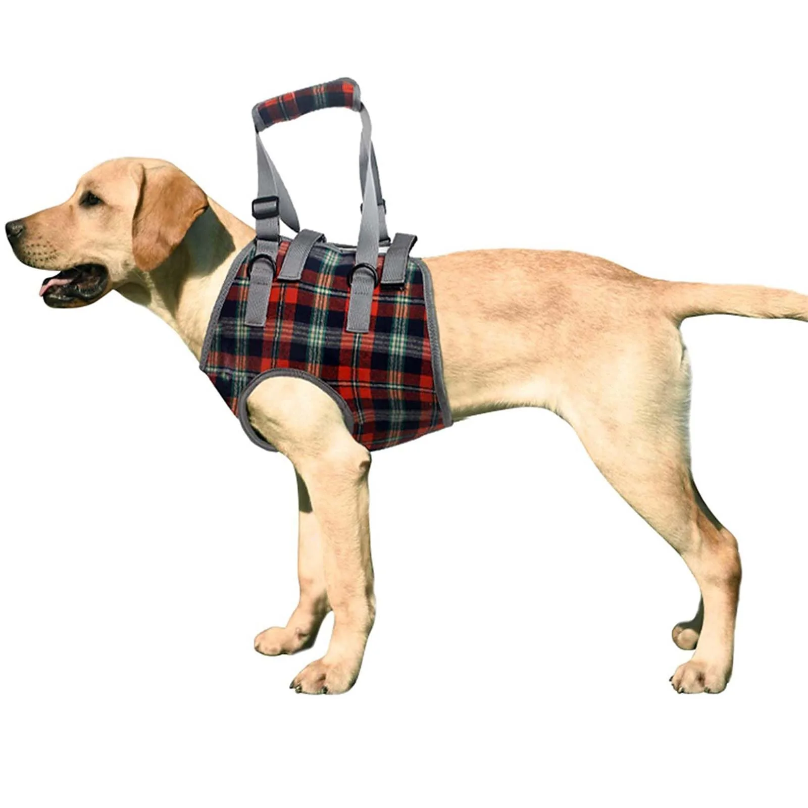 Organic ROZKITCH Dog Lift Harness – Front-Leg Support Sling for Mobility Breathable