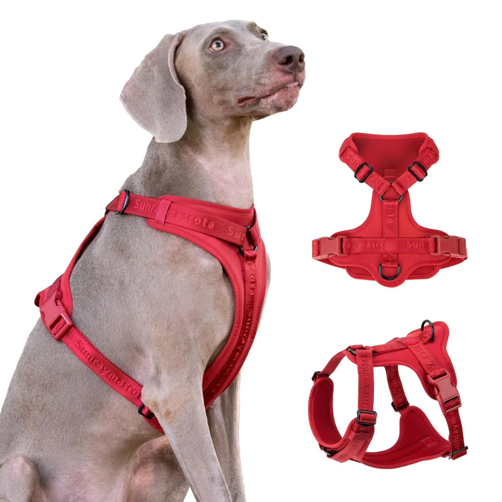 Detailed Sunraymascota No Pull Harness – Lycra Stretch 3D Padding 3-Point Dispersion Burgundy Red M Smart