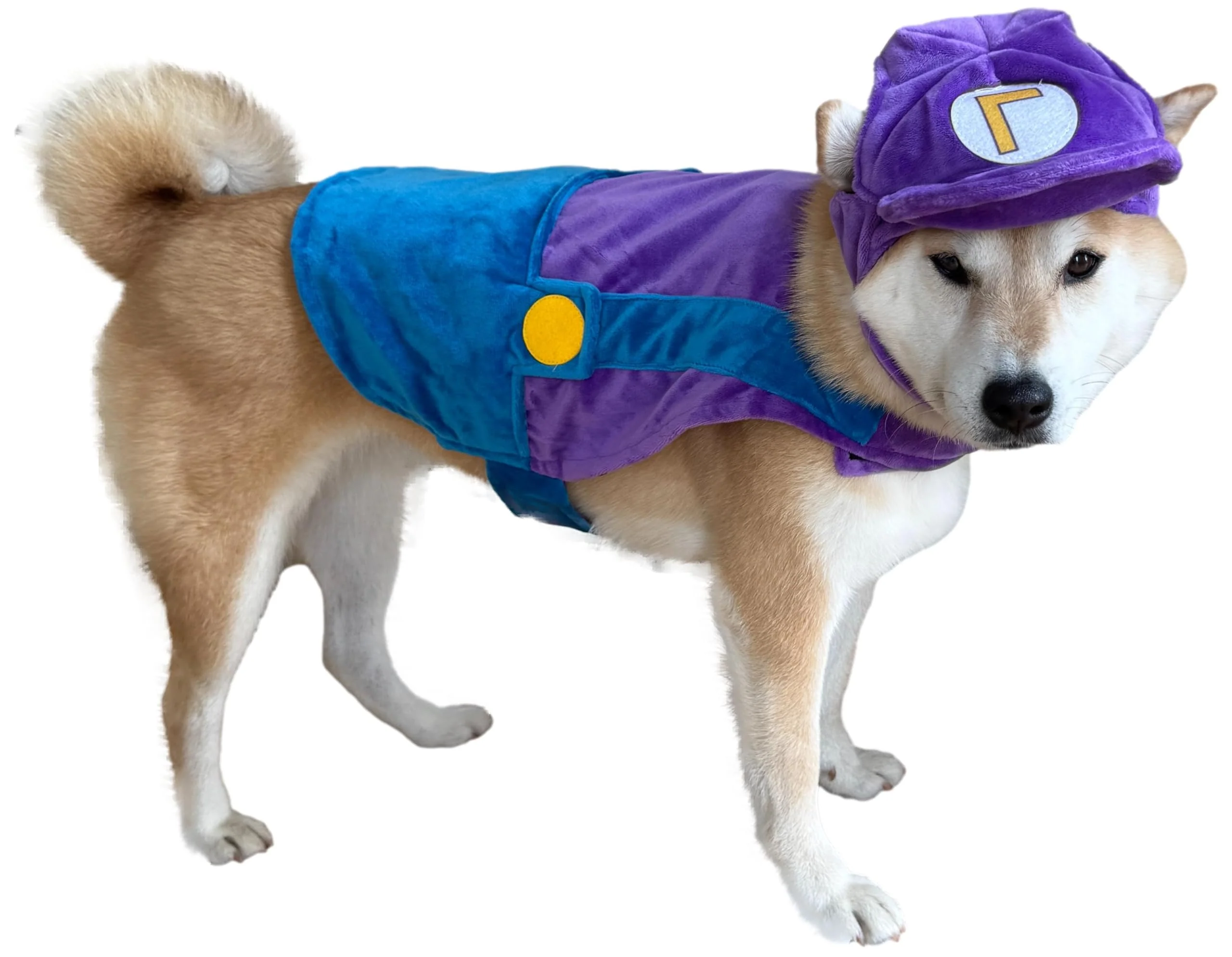 World-Class ComfyCamper Hat Suspenders Dog Costume – Purple Blue Space Cosplay S-XL Professional