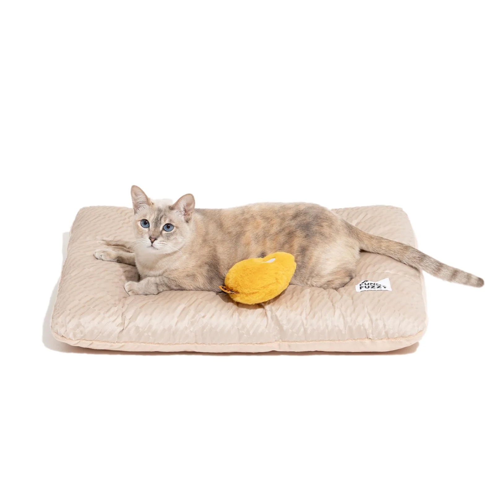 Elegant FUNNY FUZZY 2-in-1 Dog Bed Mat Reversible Plush Linen Washable 23.6 x 17.9 in Beige Stylish