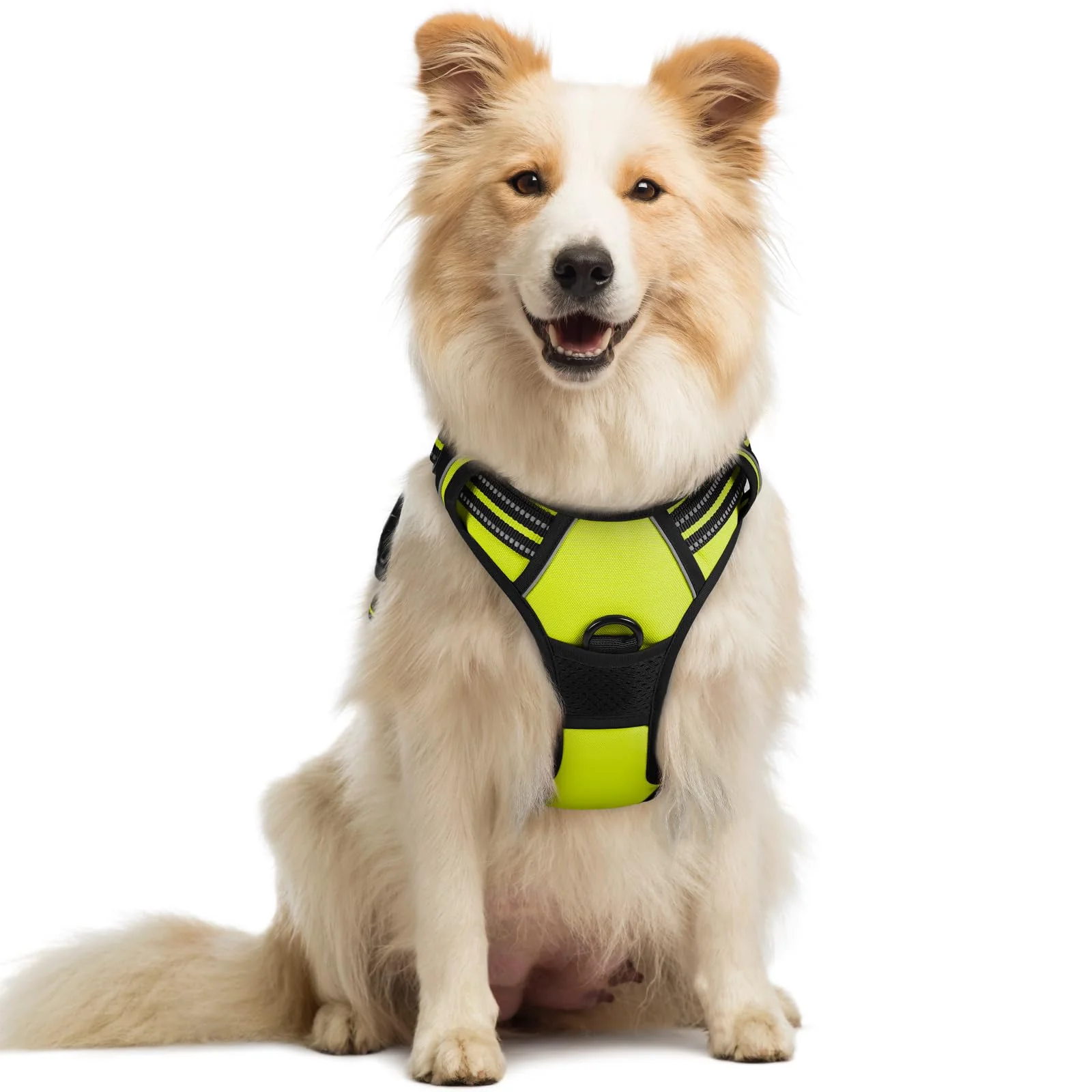 Organic Rabbitgoo No-Pull Dog Harness with 2 Leash Clips – Adjustable Reflective Soft-Padded Medium Green Expertly Made