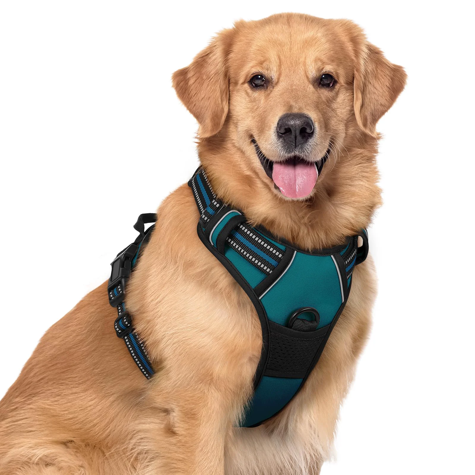 Easy-to-Use Rabbitgoo No-Pull Dog Harness with Dual Leash Clips – Adjustable Padded Vest for Large Dogs Blue Coral XL Fast