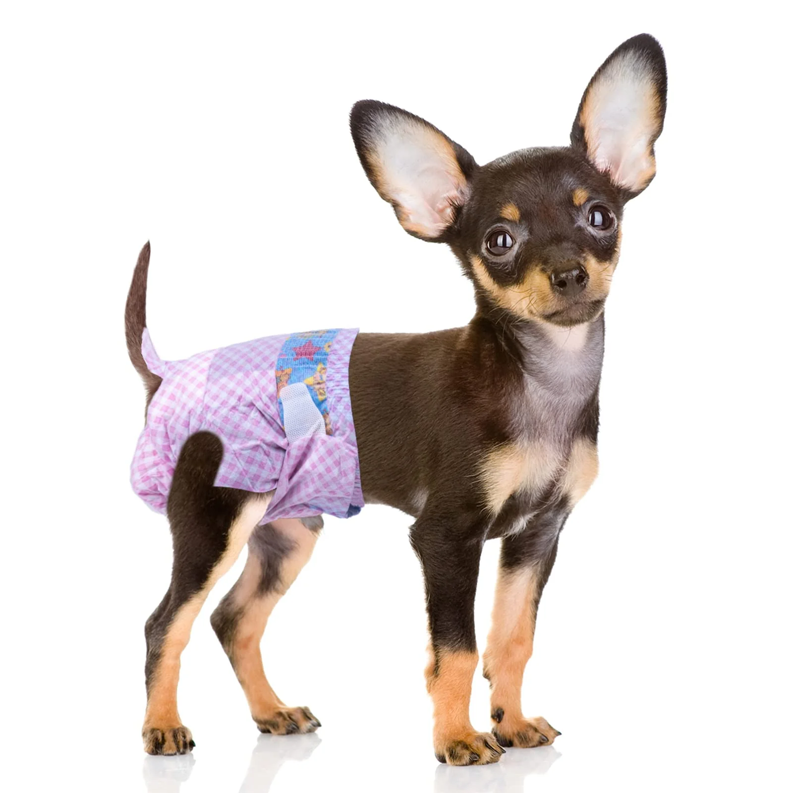 Clean Flying Paws Disposable Female Dog Diapers – Adjustable Waistband Wetness Indicator XS 40-Count Superior