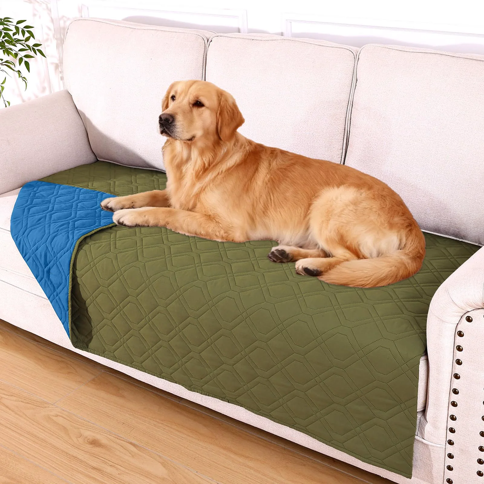 Responsible hyha Waterproof Dog Bed Blanket – Reversible Dual-Sided Waterproof Couch Cover 40×90 Inch Green Navy Healthy