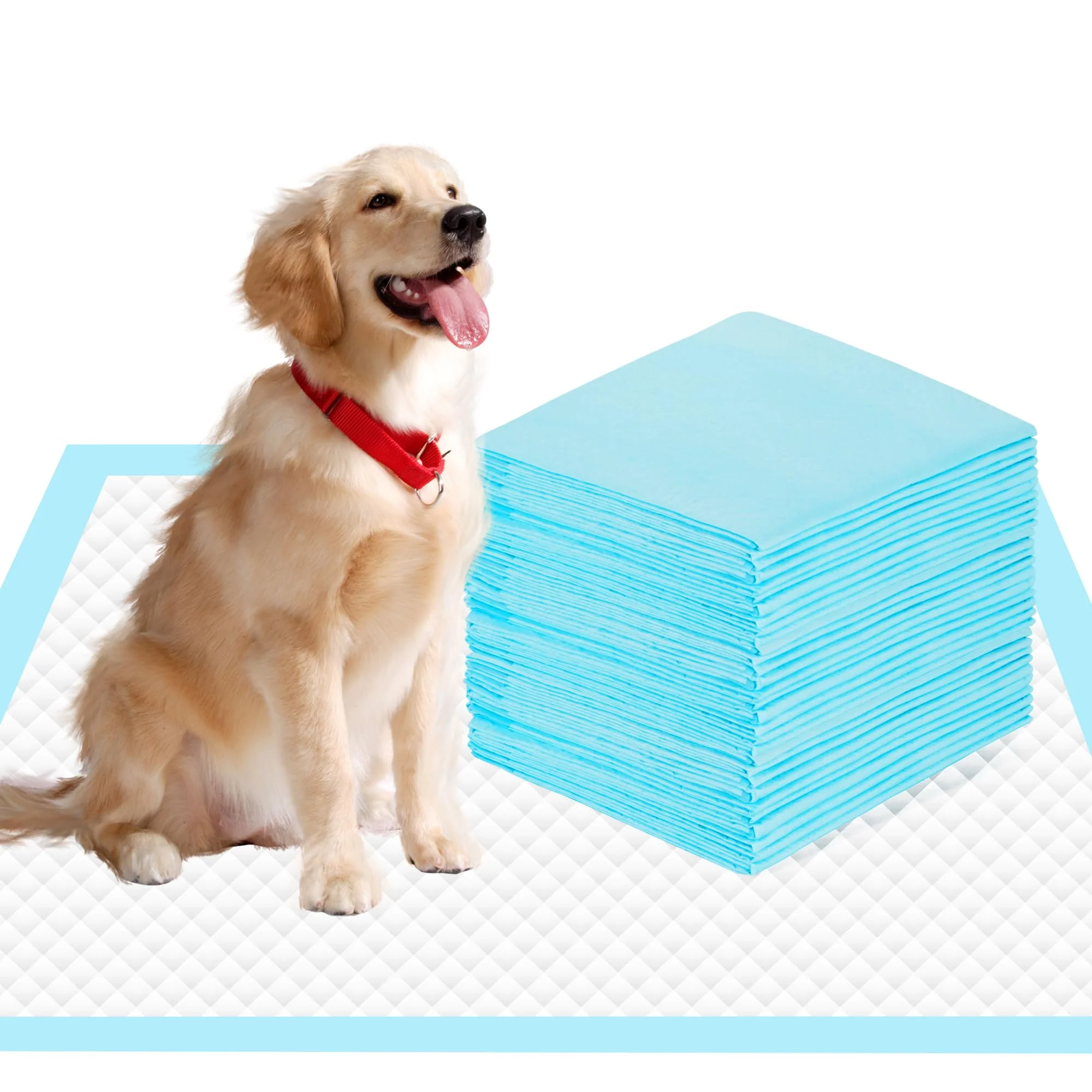 Casual SAP FRIENDLY 22 ×23 Pee Pads for Dogs Disposable Underpads – 90 Count Recyclable