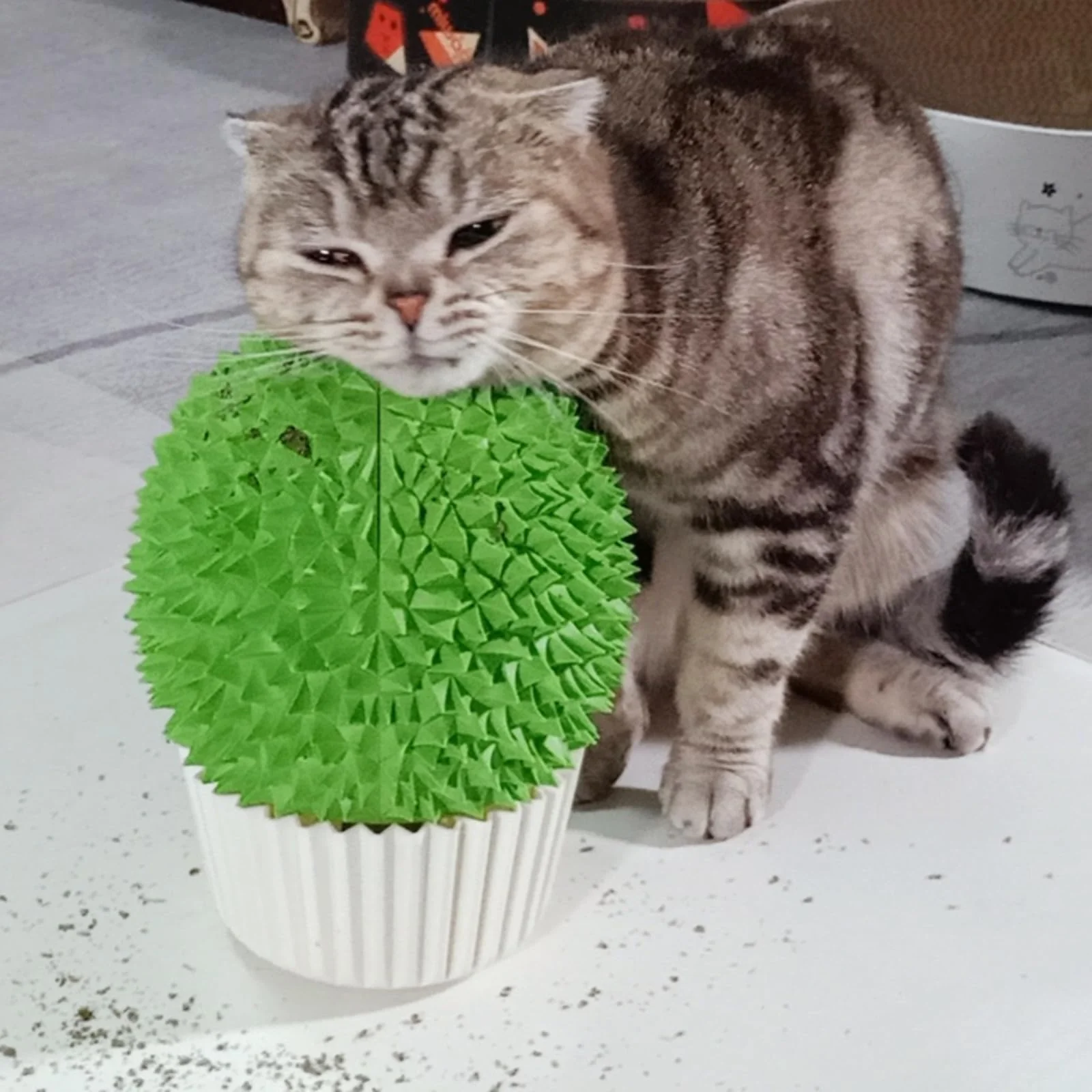 Proven Miwoowim Catnip Feeder Cat Face Scratcher Wall Corner Massage Brush Responsible