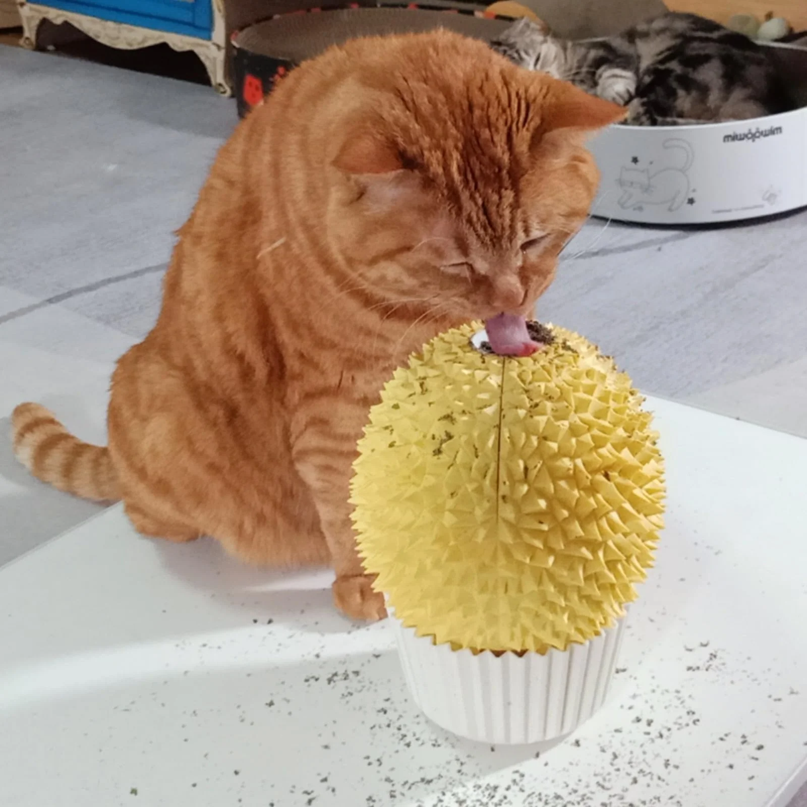 Exceptional Miwoowim Catnip Feeder Self-Grooming Toy — Cat Face Scratcher Wall Corner Massage Comb Yellow Effective