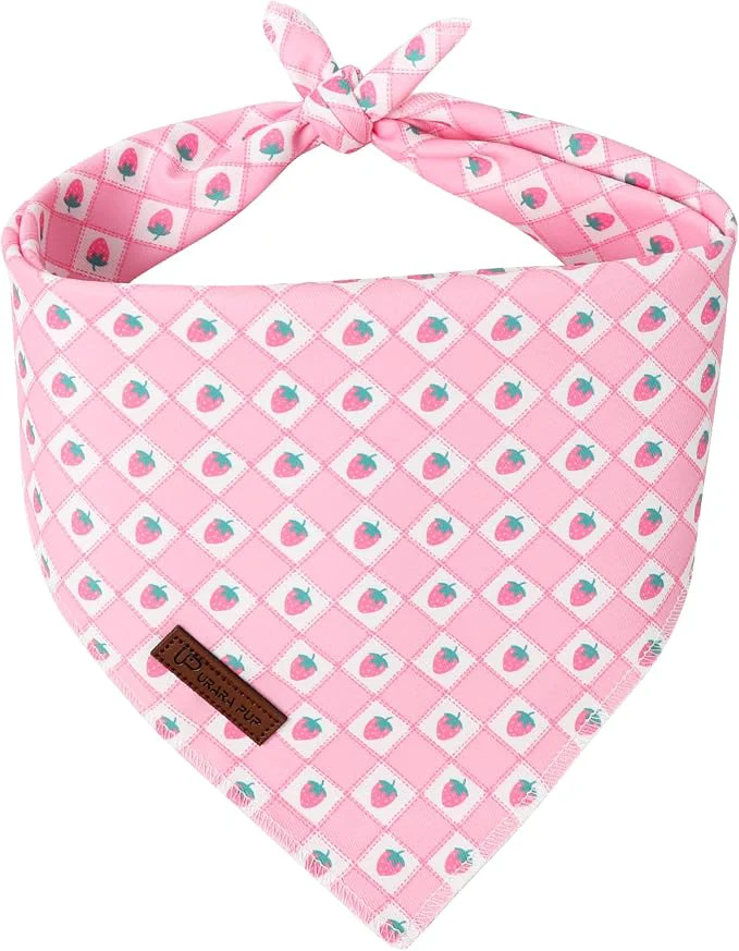 Proven Spring Dog Bandana UP URARA PUP Strawberry Triangle Bid Scarf Smooth