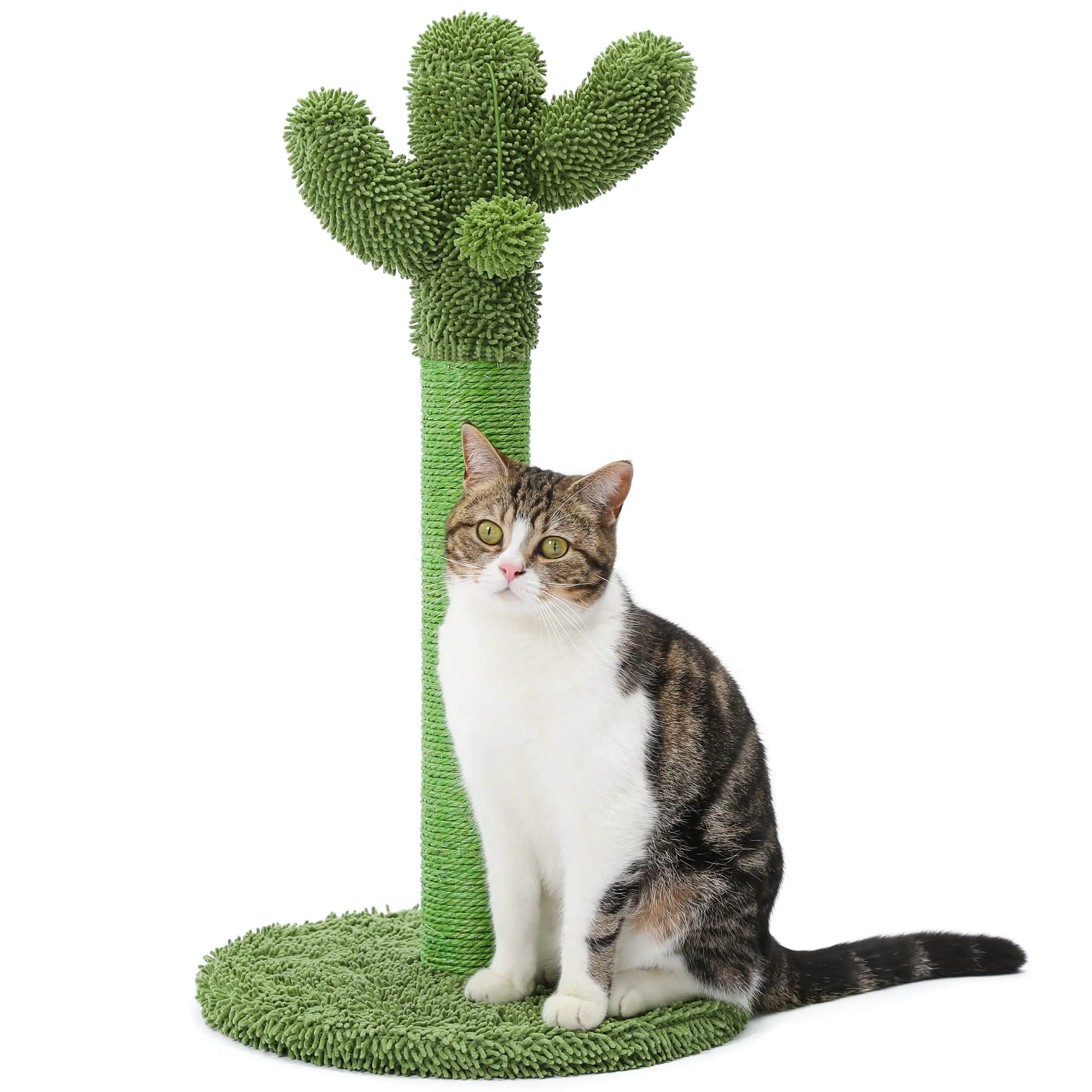 Contemporary MADE 4 PETS Cat Scratching Post 25.6 Inch Cactus with Sisal Rope – Indoor Green Cat Tree High-Quality