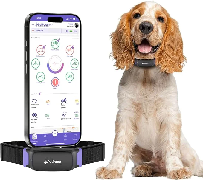Detailed V3.0 Dog Health Monitor – AI Health Collar High-End