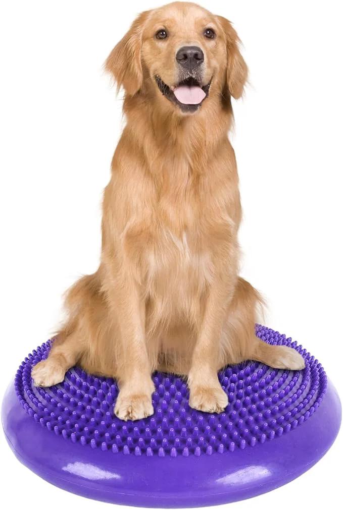 Premium Dog Balance Disc 14 Dog Balance Equipment Easy-to-Use