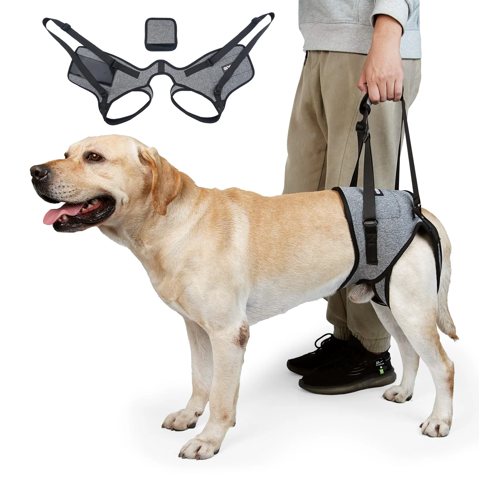 User-Friendly Cneo Dog Lift Harness – Adjustable Comfortable Support for Medium Large Dogs Convenient