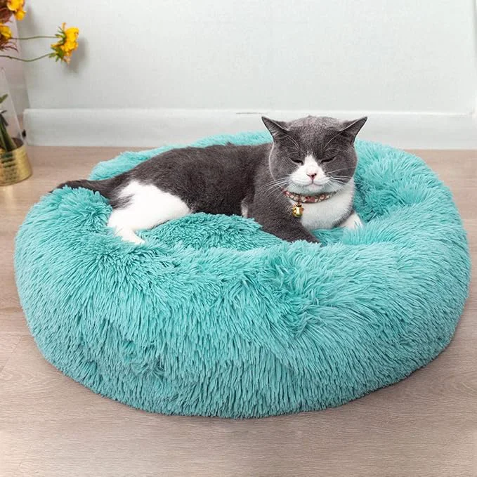Efficient Cat Beds for Indoor Cats Specialty