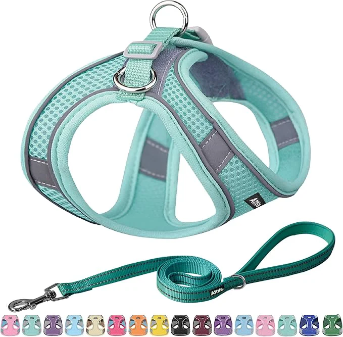 Proven AIITLE Small Harness for Puppy Original Design
