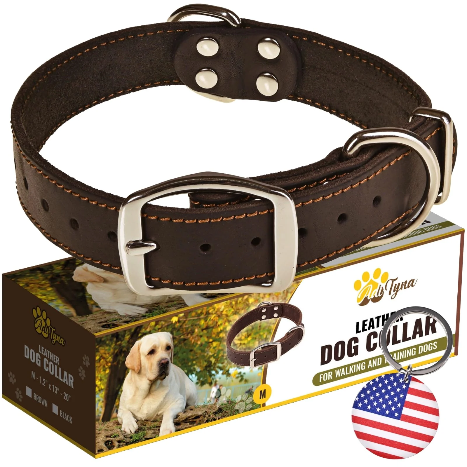 Exceptional ADITYNA Heavy Duty Black Leather Dog Collar for Medium Dogs Durable Stylish Walking Training Collar