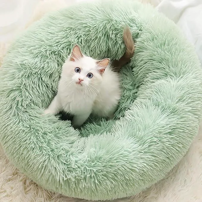 Functional Cat Beds for Indoor Cats Fine