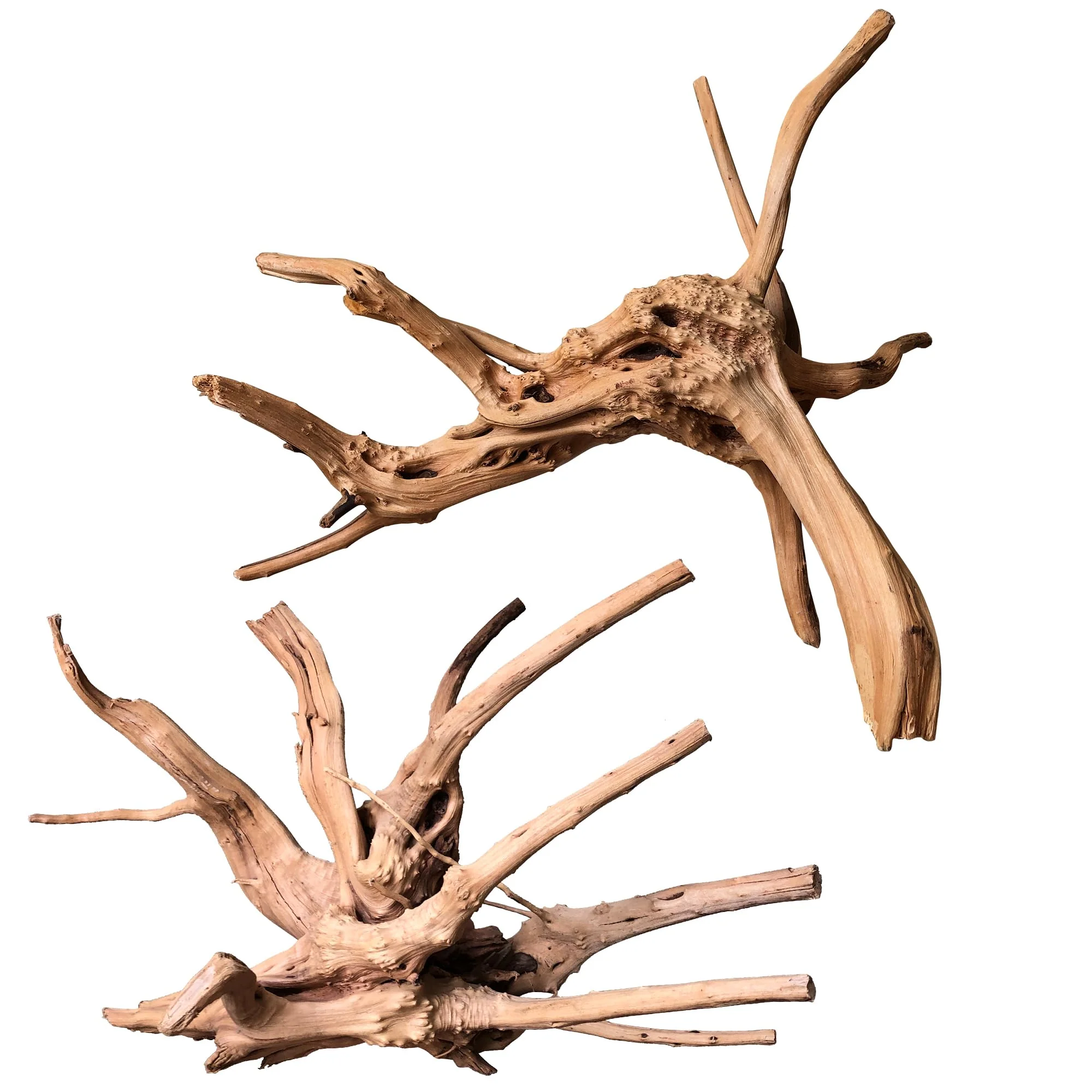 Optimized majoywoo Natural Large Spider Wood Driftwood for Aquarium Reptile Decor – 11-14 in 2 Pcs Reusable