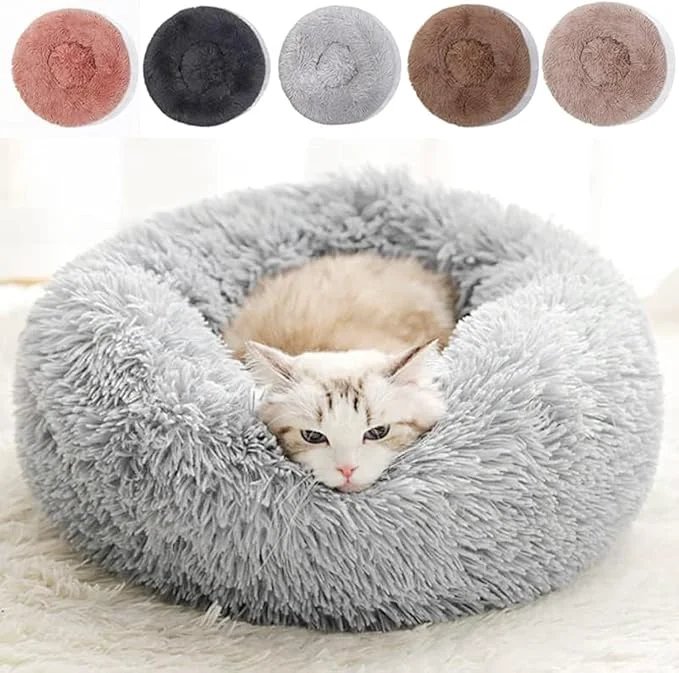 Efficient Cat Beds for Indoor Cats Exclusive