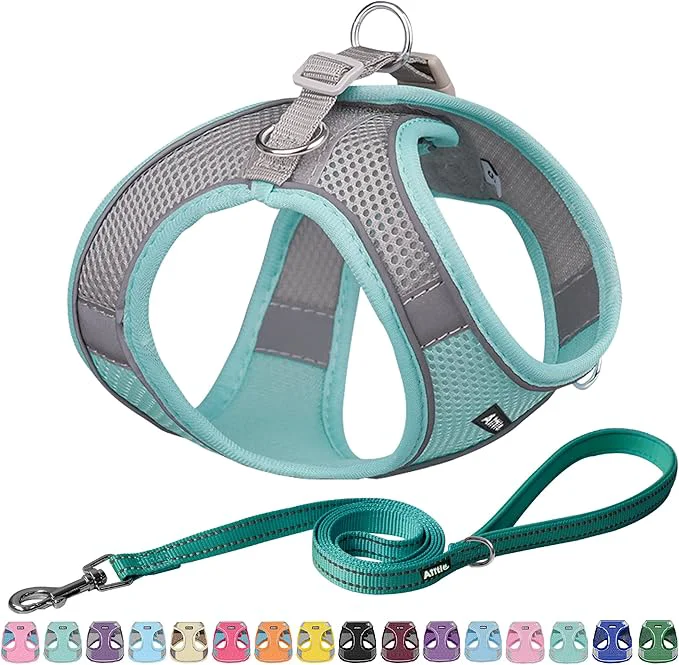 Expertly Made AIITLE Small Harness for Puppy Outstanding