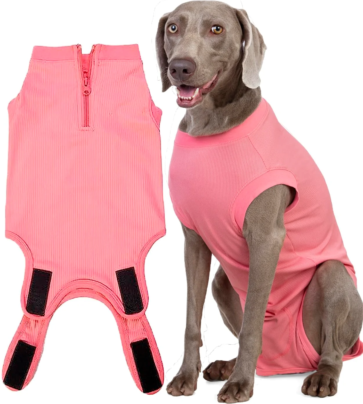 Contemporary Wabdhaly Recovery Suit for Dogs – Zipper Surgery Cone XX-Large Refined