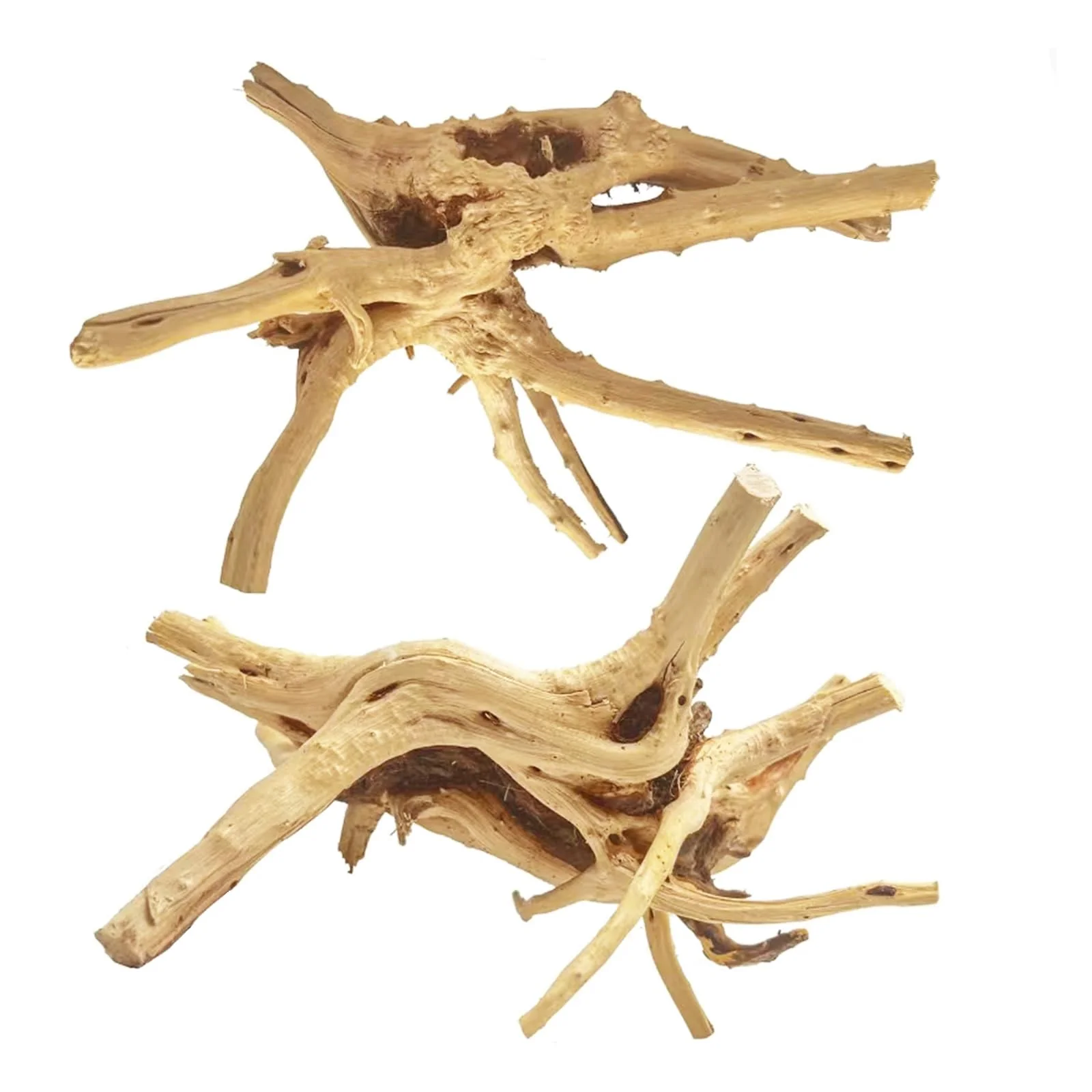 Stylish Jorewood Natural Large Spiderwood Driftwood for Aquarium Terrarium – 11-14” 2 Pcs Breathable